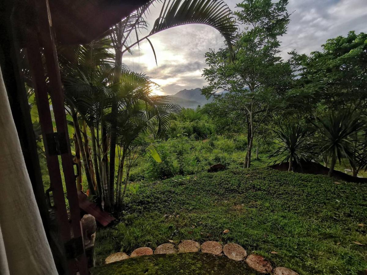 The Lookout Pai Exterior foto